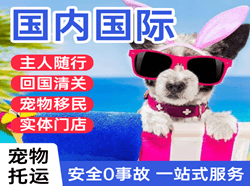 鸡西兴凯湖机场快递国际宠物托运 【国